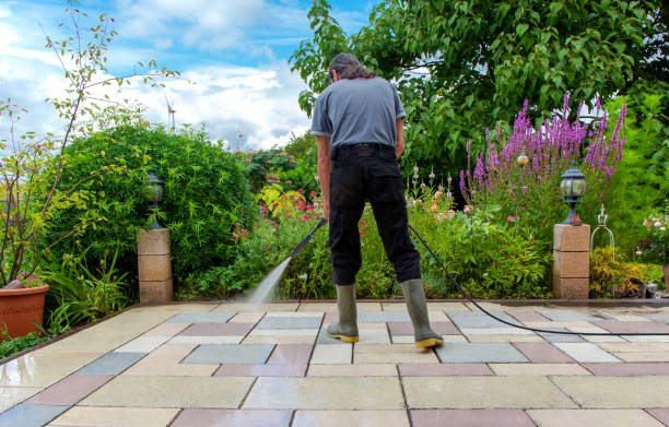 Best Sidewalk and Walkway Cleaning  in Ballenger Creek, MD